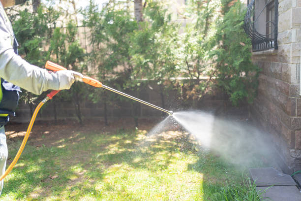 Best Flea Control Services  in Glen Rock, PA
