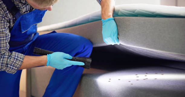 Best Termite Control Services  in Glen Rock, PA