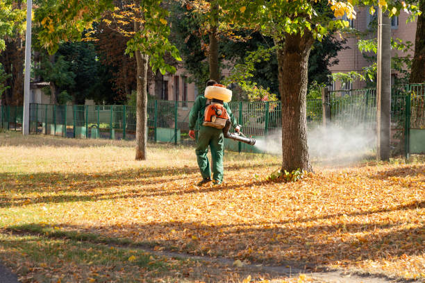 Best Local Pest Control Services  in Glen Rock, PA